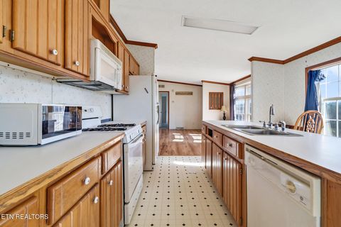 Tiny photo for 505 Trentham Rd, Spring City, TN 37381 (MLS # 1329463)