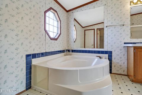 Tiny photo for 505 Trentham Rd, Spring City, TN 37381 (MLS # 1329463)