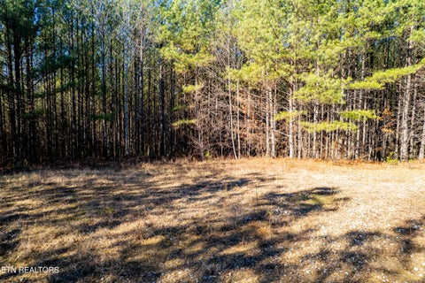 Tiny photo for Lower Rockwood Rd Rd, Rockwood, TN 37854 (MLS # 1357712)