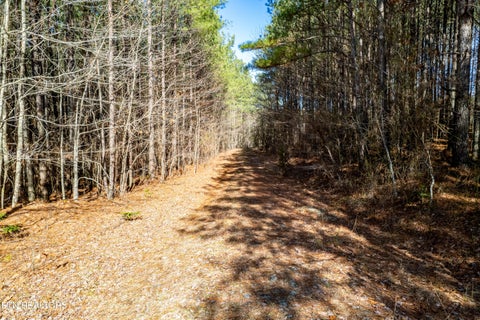 Tiny photo for Lower Rockwood Rd Rd, Rockwood, TN 37854 (MLS # 1357712)