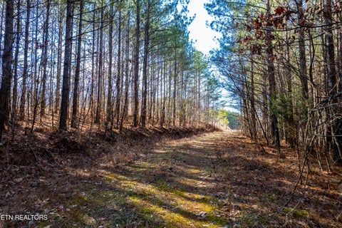 Photo of Lower Rockwood Rd Rd, Rockwood, TN 37854 (MLS # 1357712)