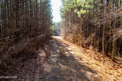 Tiny photo for Lower Rockwood Rd Rd, Rockwood, TN 37854 (MLS # 1357712)