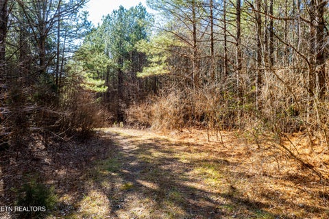 Tiny photo for Lower Rockwood Rd Rd, Rockwood, TN 37854 (MLS # 1357712)