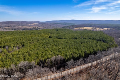 Tiny photo for Lower Rockwood Rd Rd, Rockwood, TN 37854 (MLS # 1357712)