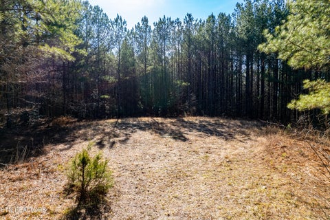 Tiny photo for Lower Rockwood Rd Rd, Rockwood, TN 37854 (MLS # 1357712)