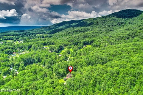 Tiny photo for 146 Peach Tree Circle, Wartburg, TN 37887 (MLS # 1346847)