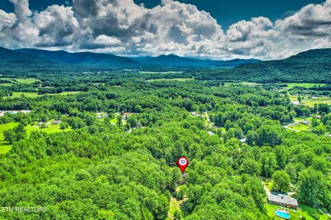 Tiny photo for 146 Peach Tree Circle, Wartburg, TN 37887 (MLS # 1346847)