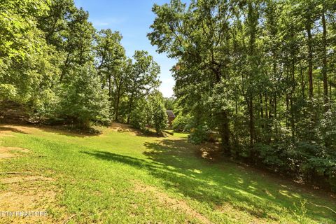 Tiny photo for 146 Peach Tree Circle, Wartburg, TN 37887 (MLS # 1346847)