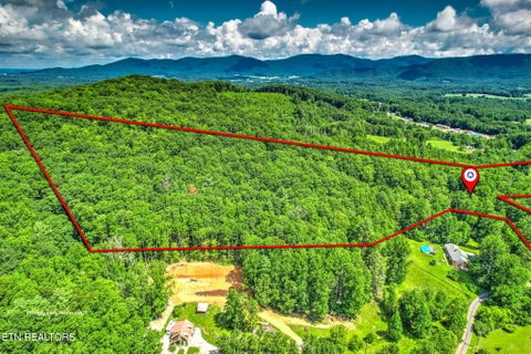 Tiny photo for 146 Peach Tree Circle, Wartburg, TN 37887 (MLS # 1346847)