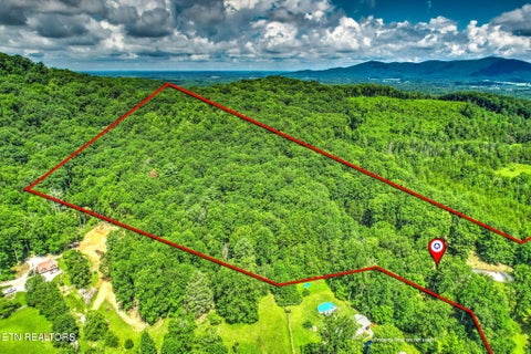 Tiny photo for 146 Peach Tree Circle, Wartburg, TN 37887 (MLS # 1346847)