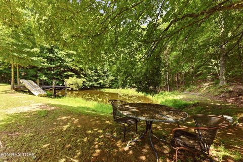 Tiny photo for 146 Peach Tree Circle, Wartburg, TN 37887 (MLS # 1346847)