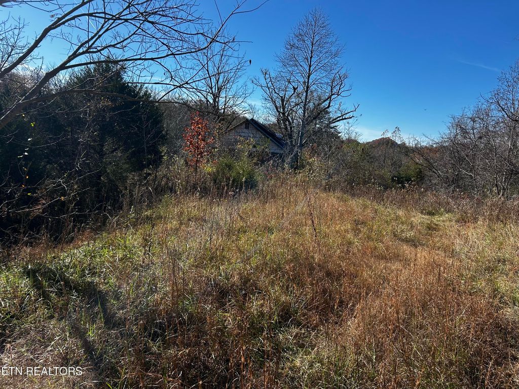 Photo of Shadden Road Lot 1, Tellico Plains, TN 37385 (MLS # 1321776)