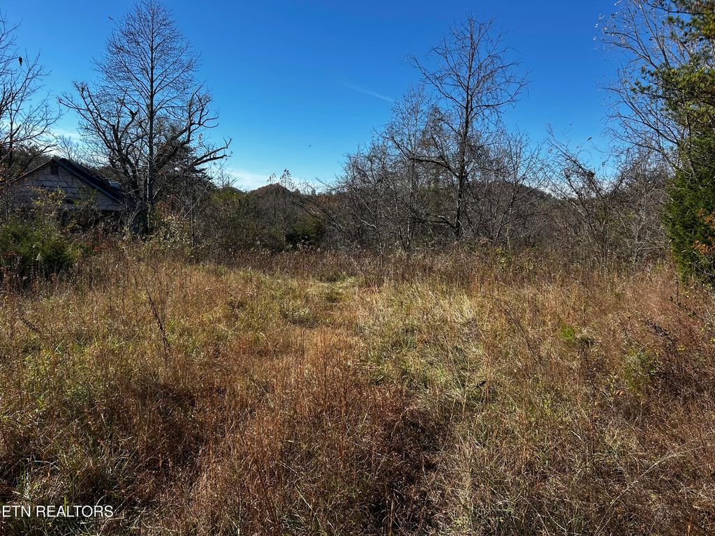 Photo of Shadden Road Lot 1, Tellico Plains, TN 37385 (MLS # 1321776)
