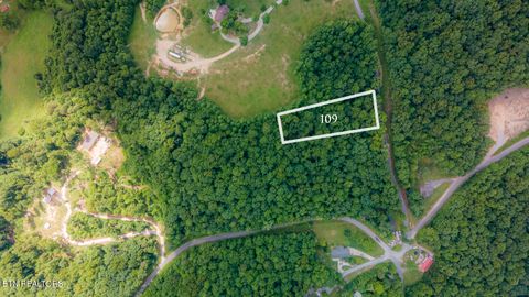Photo of S Sudenny Lane, LaFollette, TN 37766 (MLS # 1345172)