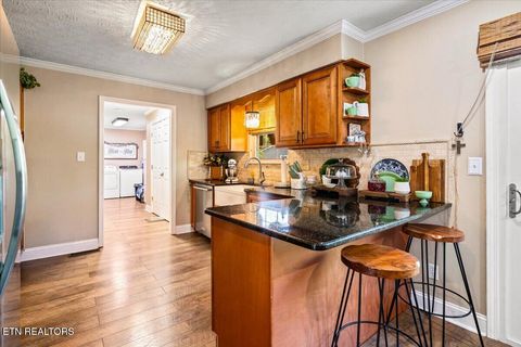 Tiny photo for 304 Dogwood Lane, Jacksboro, TN 37757 (MLS # 1339597)