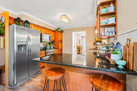 Tiny photo for 304 Dogwood Lane, Jacksboro, TN 37757 (MLS # 1339597)