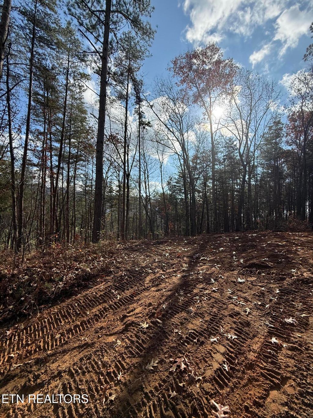 Photo of 4 Parksville Road, Benton, TN 37307 (MLS # 1322737)