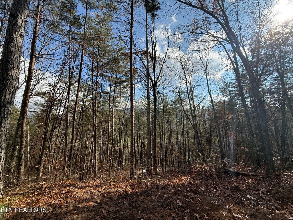 Photo of 4 Parksville Road, Benton, TN 37307 (MLS # 1322737)