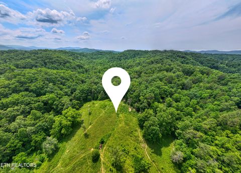 Tiny photo for 1 Birds Creek Rd, Gatlinburg, TN 37738 (MLS # 1329912)