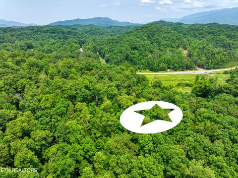 Tiny photo for 1 Birds Creek Rd, Gatlinburg, TN 37738 (MLS # 1329912)