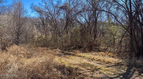 Tiny photo for Clymersville Rd, Rockwood, TN 37854 (MLS # 1329394)