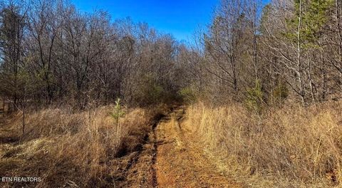 Tiny photo for Clymersville Rd, Rockwood, TN 37854 (MLS # 1329394)