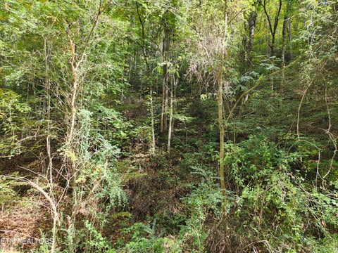 Tiny photo for 4121 S Boogertown Rd, Pigeon Forge, TN 37876 (MLS # 1359325)