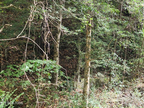 Tiny photo for 4121 S Boogertown Rd, Pigeon Forge, TN 37876 (MLS # 1359325)