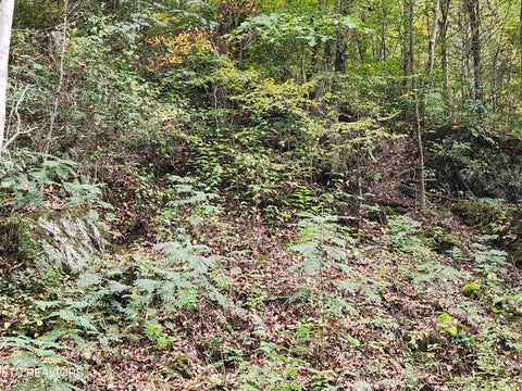 Tiny photo for 4121 S Boogertown Rd, Pigeon Forge, TN 37876 (MLS # 1359325)