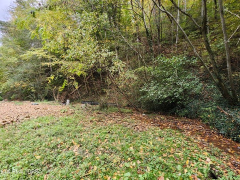 Tiny photo for 4121 S Boogertown Rd, Pigeon Forge, TN 37876 (MLS # 1359325)
