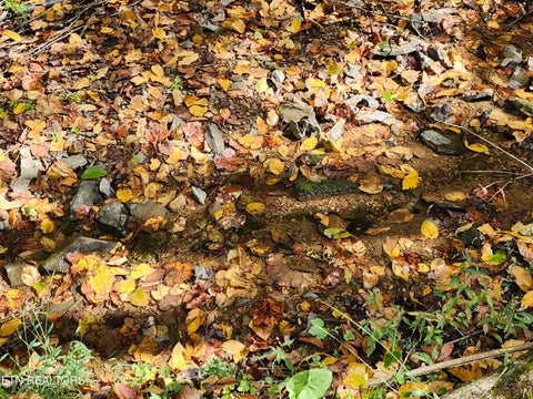 Tiny photo for 4121 S Boogertown Rd, Pigeon Forge, TN 37876 (MLS # 1359325)