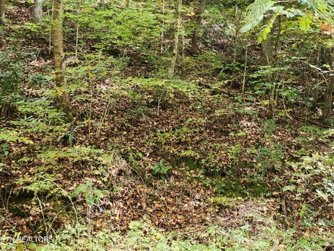 Tiny photo for 4121 S Boogertown Rd, Pigeon Forge, TN 37876 (MLS # 1359325)
