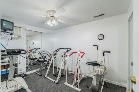 Tiny photo for 668 Raccoon Valley Rd, Maynardville, TN 37807 (MLS # 1321805)