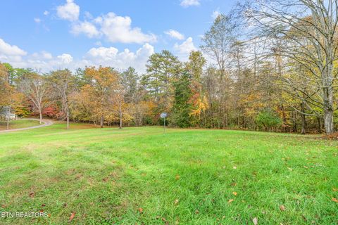Tiny photo for 668 Raccoon Valley Rd, Maynardville, TN 37807 (MLS # 1321805)