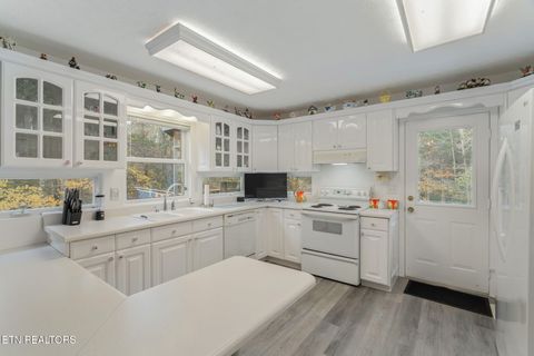 Tiny photo for 668 Raccoon Valley Rd, Maynardville, TN 37807 (MLS # 1321805)