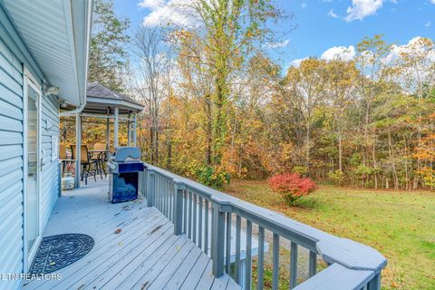 Tiny photo for 668 Raccoon Valley Rd, Maynardville, TN 37807 (MLS # 1321805)