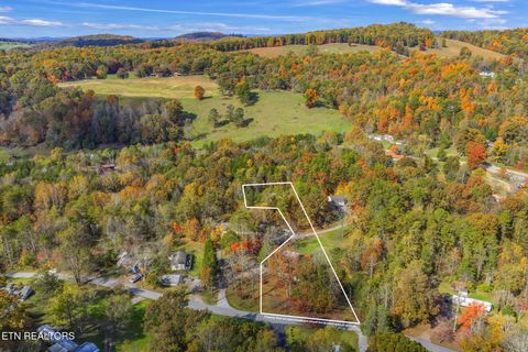 Tiny photo for 668 Raccoon Valley Rd, Maynardville, TN 37807 (MLS # 1321805)