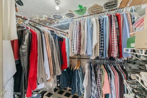 Tiny photo for 668 Raccoon Valley Rd, Maynardville, TN 37807 (MLS # 1321805)