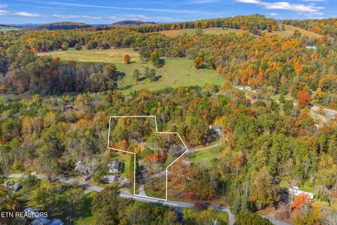 Tiny photo for 668 Raccoon Valley Rd, Maynardville, TN 37807 (MLS # 1321805)