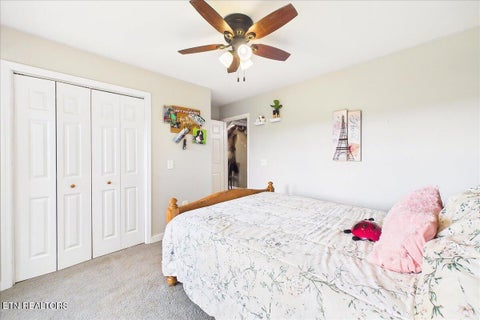 Tiny photo for 894 Crosby Lane, Spring City, TN 37381 (MLS # 1345650)