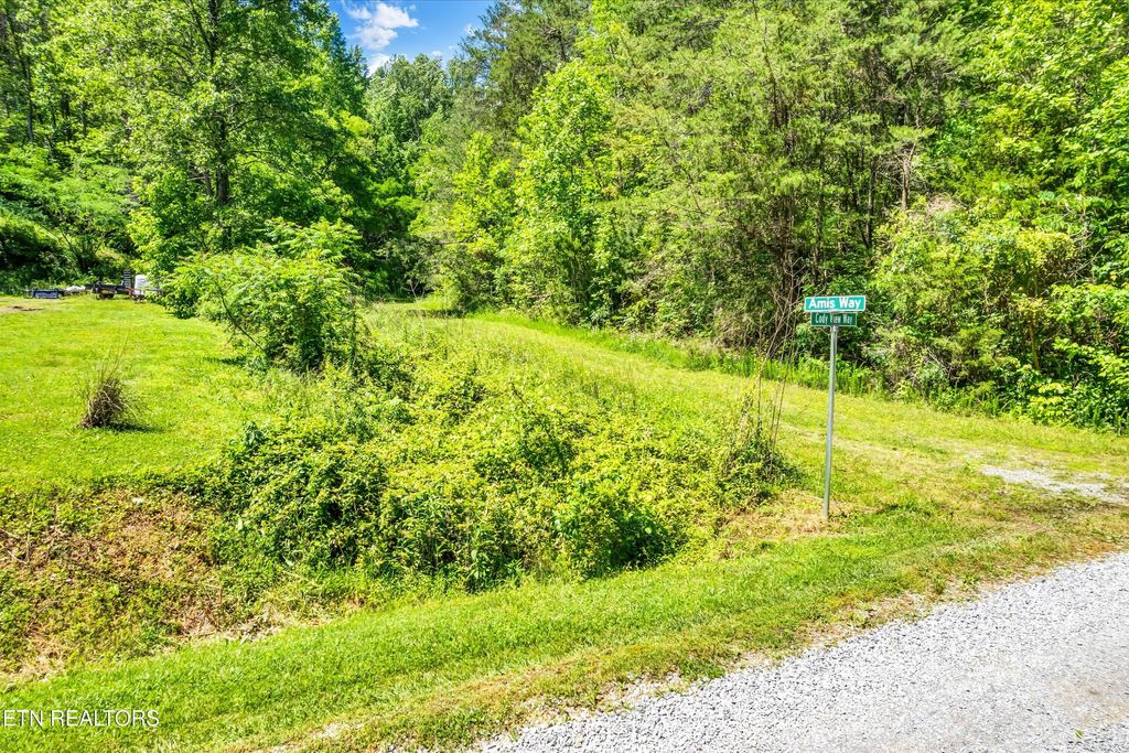 Photo of Amis Way, Sevierville, TN 37876 (MLS # 1323407)