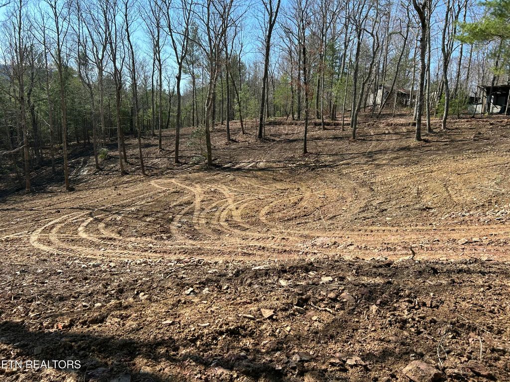 Photo of Mcjunkin Rd, Tellico Plains, TN 37385 (MLS # 1332235)