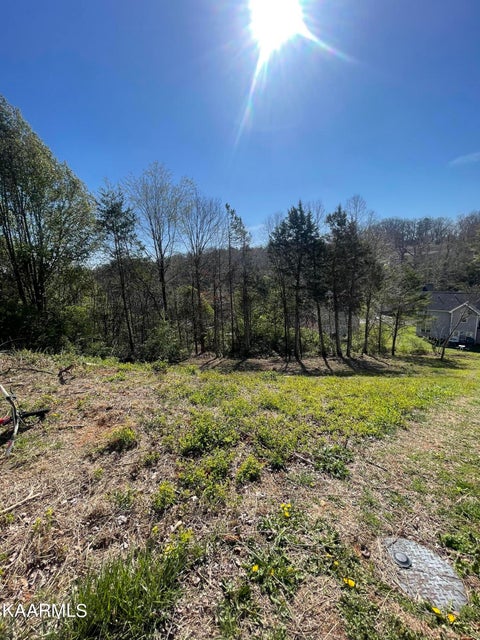 Tiny photo for 1948 Winter Winds Lane, Knoxville, TN 37909 (MLS # 1357985)