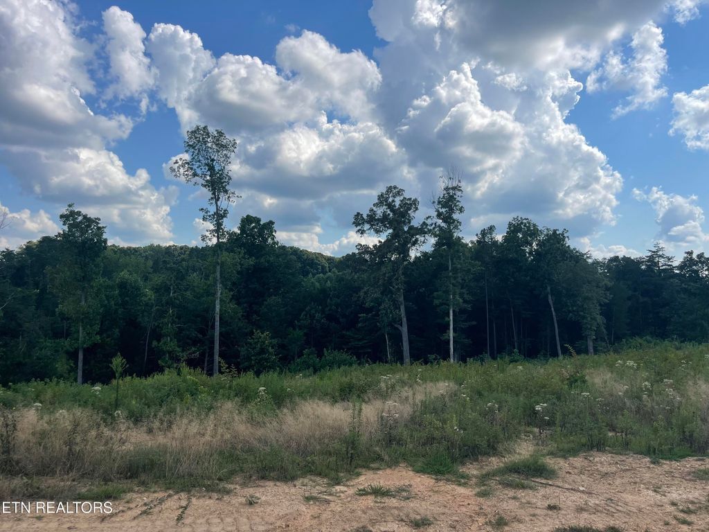 Photo of 19 Laura Boling Loop Rd, Strawberry Plains, TN 37871 (MLS # 1311629)