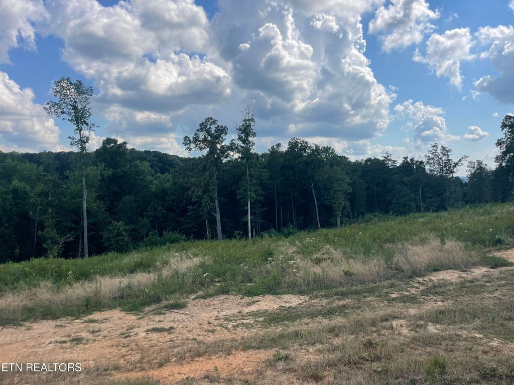 Photo of 19 Laura Boling Loop Rd, Strawberry Plains, TN 37871 (MLS # 1311629)