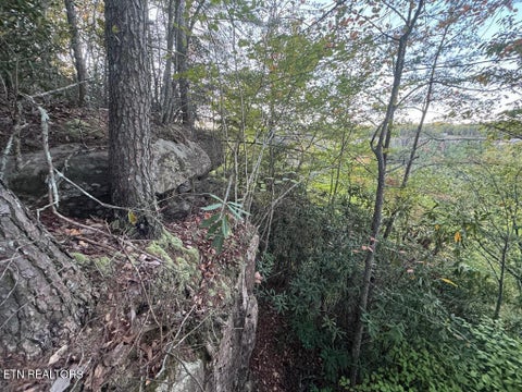 Tiny photo for 0 Panther Falls Rd, Wilder, TN 38589 (MLS # 1359732)
