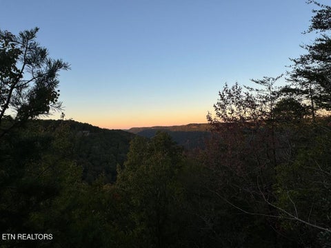 Tiny photo for 0 Panther Falls Rd, Wilder, TN 38589 (MLS # 1359732)