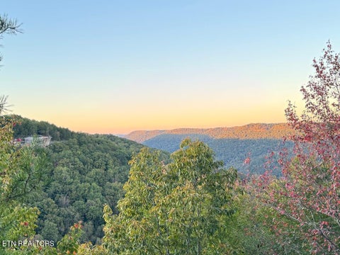 Photo of 0 Panther Falls Rd, Wilder, TN 38589 (MLS # 1359732)