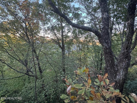 Tiny photo for 0 Panther Falls Rd, Wilder, TN 38589 (MLS # 1359732)