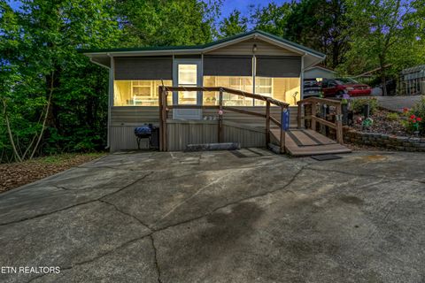 Photo of 419 Mountain Thrush Drive, Townsend, TN 37882 (MLS # 1342961)